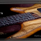 NEW IBANEZ SR PREMIUM BASSES ARE HERE!