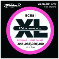 DD-ECB81